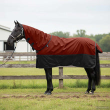 Paardendeken Donkergroen en Zwart 75 cm Polyester