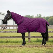 Paardendeken Donkergroen en Zwart 95 cm Polyester