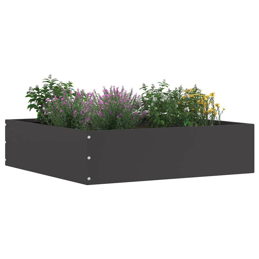 Tuinrand 6 pcs Zwart 50 x 50 x 13 cm Staal