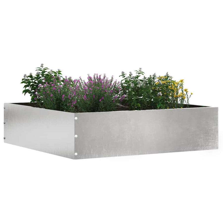 Tuinrand Zilver 50 x 50 x 13 cm Roestvrij staal