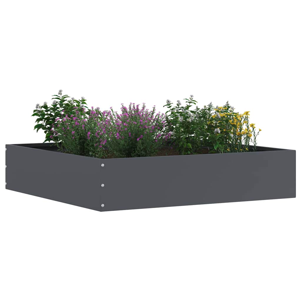 Tuinrand 6 pcs Antraciet 60 x 60 x 13 cm Staal