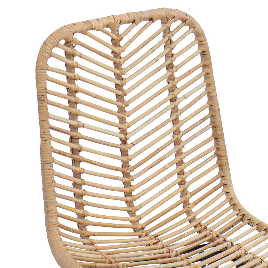 Eetkamerstoel 2 pcs Naturel 44,5 x 55 x 85 cm Riet en IJzer