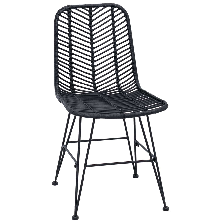 Eetkamerstoel 2 pcs Zwart 44,5 x 55 x 85 cm Riet en IJzer