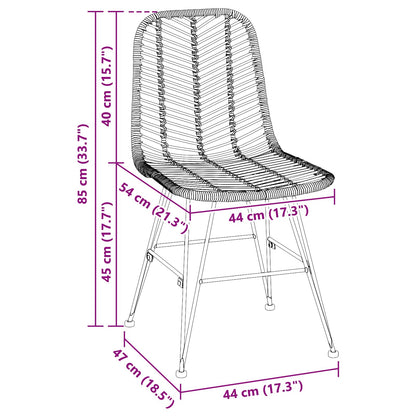 Eetkamerstoel 2 pcs Zwart 44,5 x 55 x 85 cm Riet en IJzer