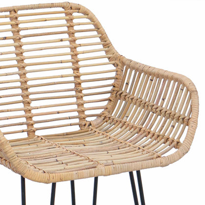 Barkruk 2 pcs Naturel 55 x 52 x 92 cm Riet en IJzer