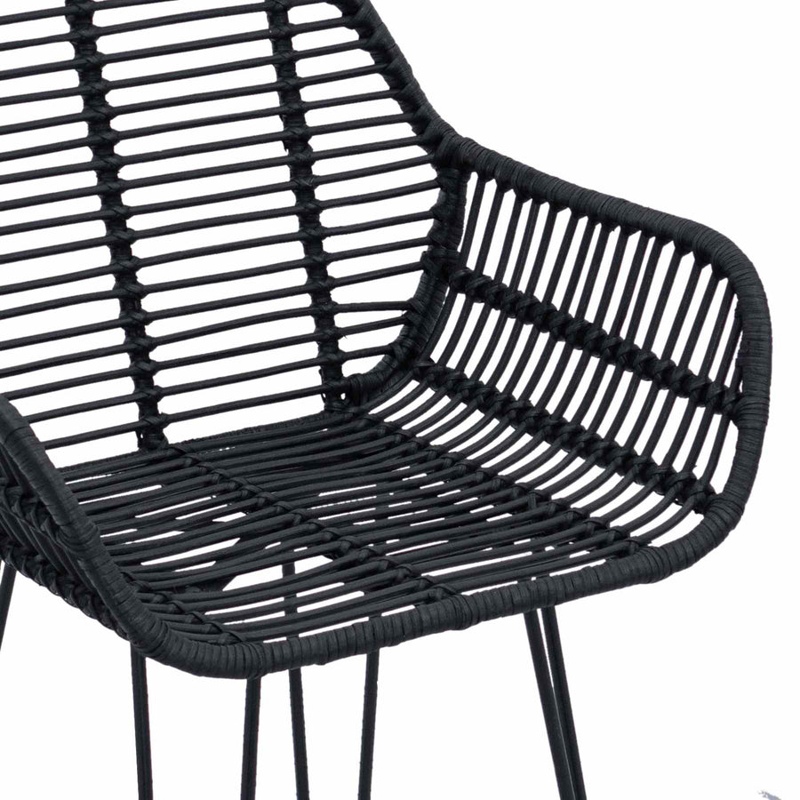 Barkruk 2 pcs Zwart 55 x 52 x 92 cm Riet en IJzer