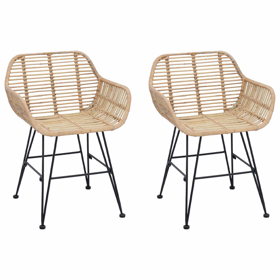 Eetkamerstoel 2 pcs Naturel 55 x 50 x 74 cm Riet en IJzer