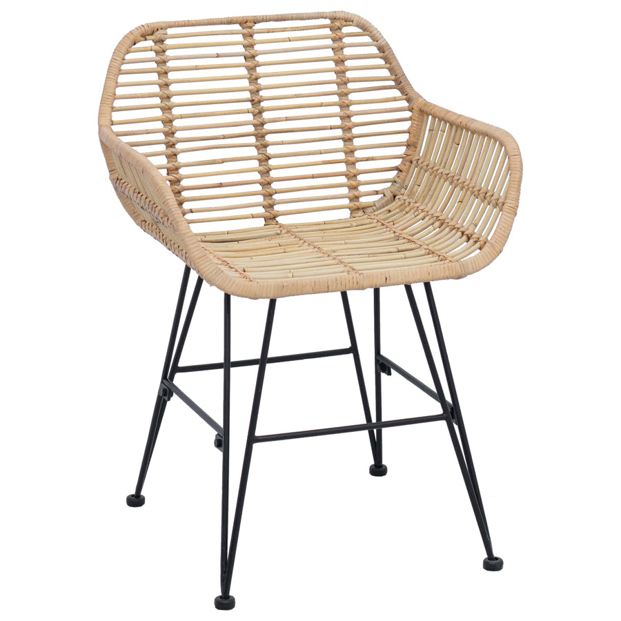 Eetkamerstoel 2 pcs Naturel 55 x 50 x 74 cm Riet en IJzer