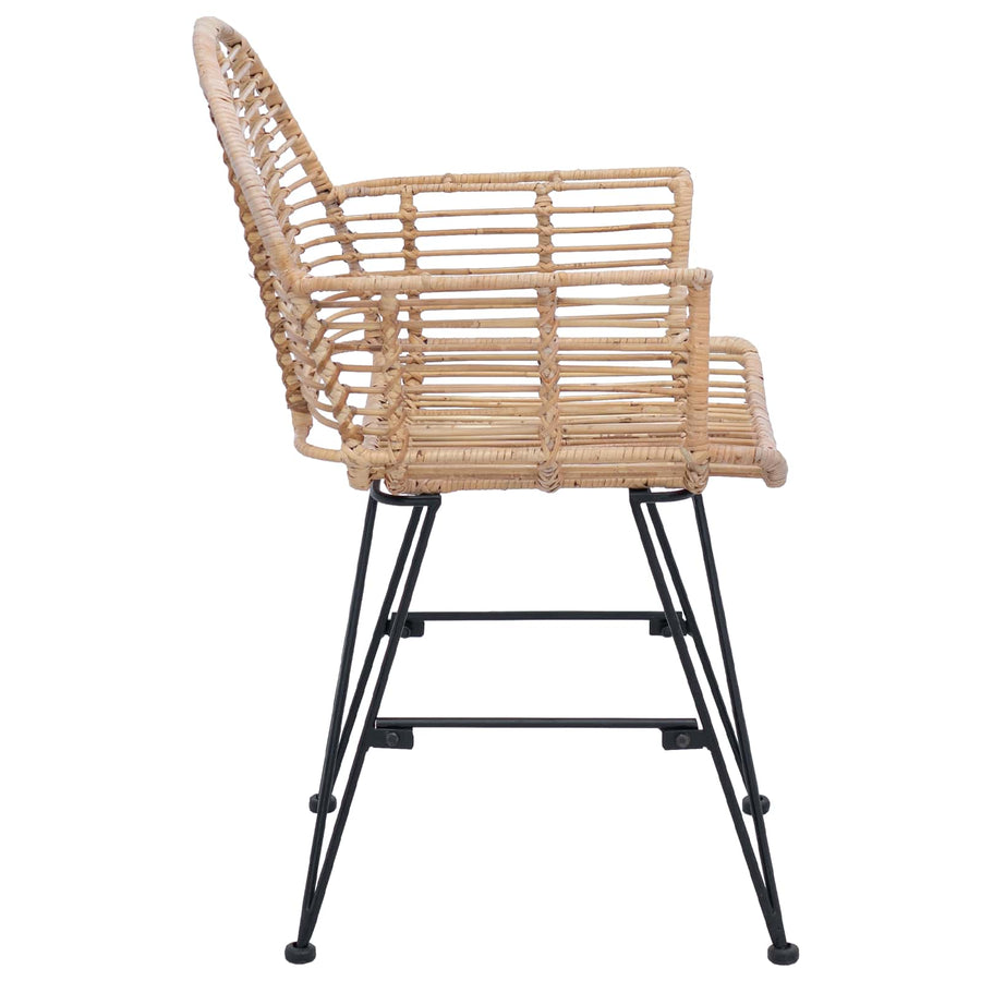 Eetkamerstoel 2 pcs Naturel 57 x 54,5 x 85 cm Riet en IJzer