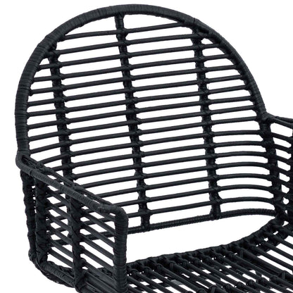 Eetkamerstoel 2 pcs Zwart 44 x 44 x 74 cm Riet en IJzer