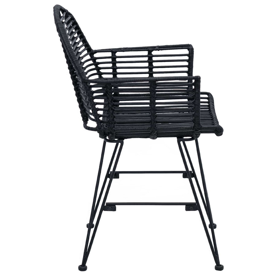 Eetkamerstoel 2 pcs Zwart 44 x 44 x 74 cm Riet en IJzer