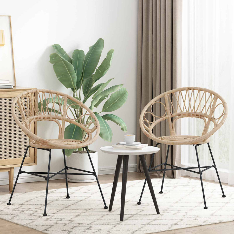 Eetkamerstoel 2 pcs Naturel 65 x 55,5 x 81 cm Riet en IJzer