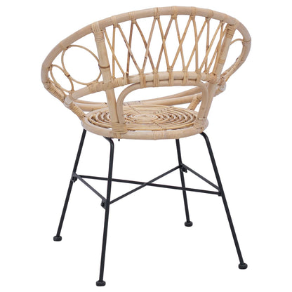 Eetkamerstoel 2 pcs Naturel 65 x 55,5 x 81 cm Riet en IJzer