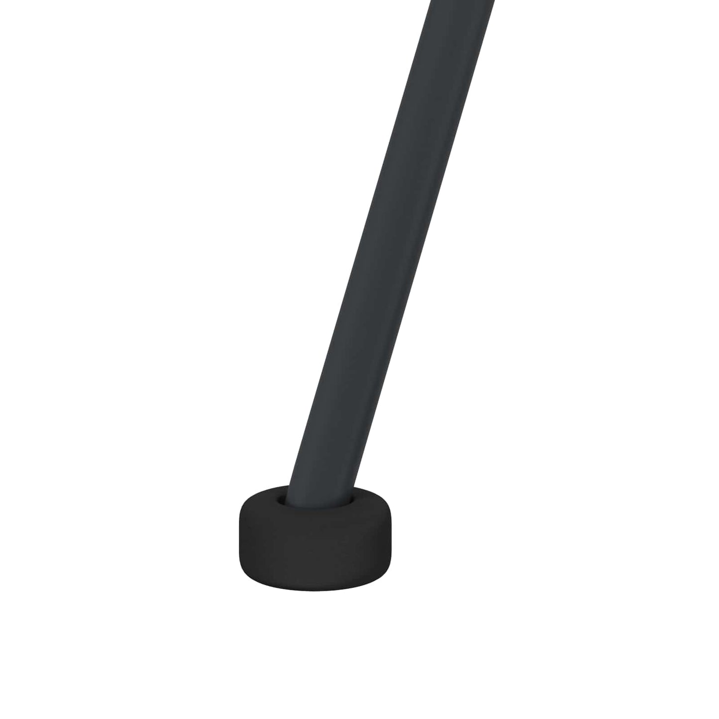 Eetkamerstoel 2 pcs Zwart 65 x 55,5 x 81 cm Riet en IJzer