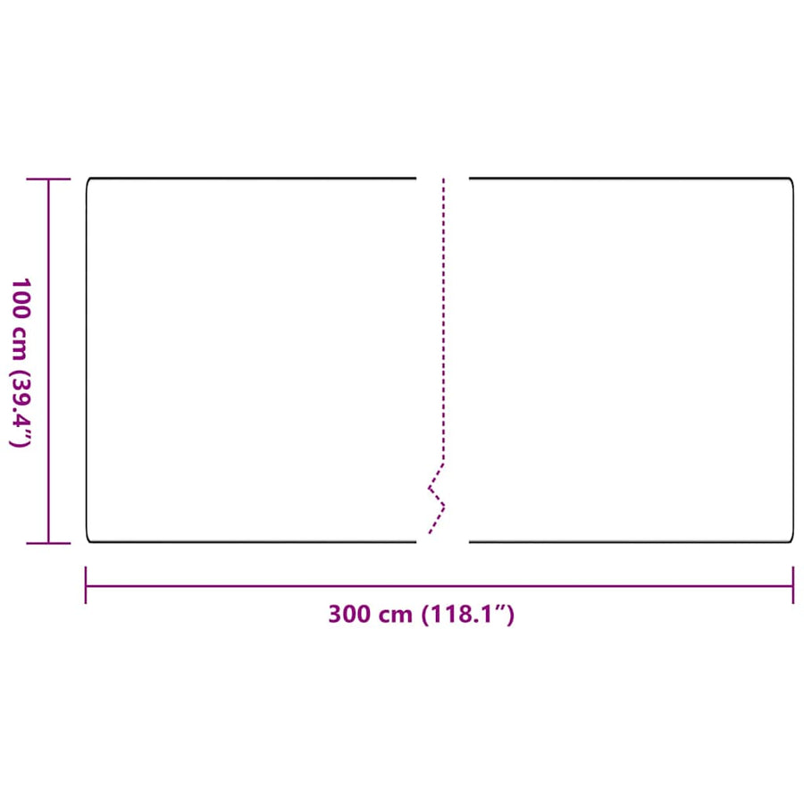 Tapijt Loper Antraciet 100 x 300 cm 100% Polypropyleen