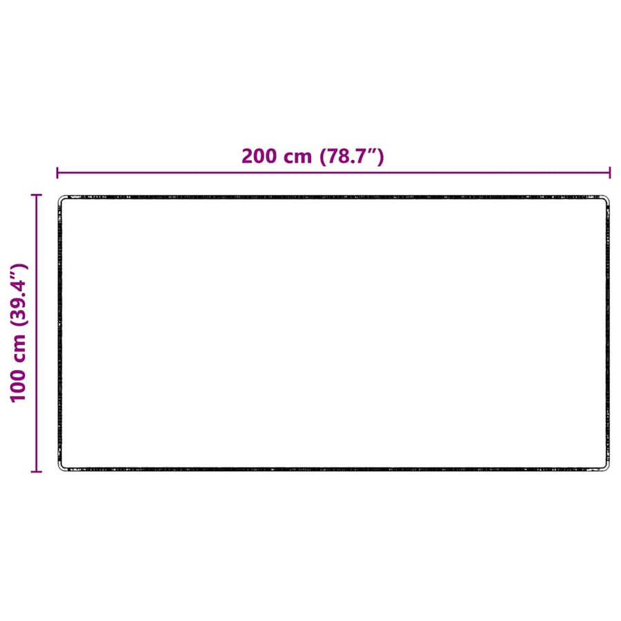 Tapijt Loper Donkergrijs 100 x 200 cm 100% Polypropyleen