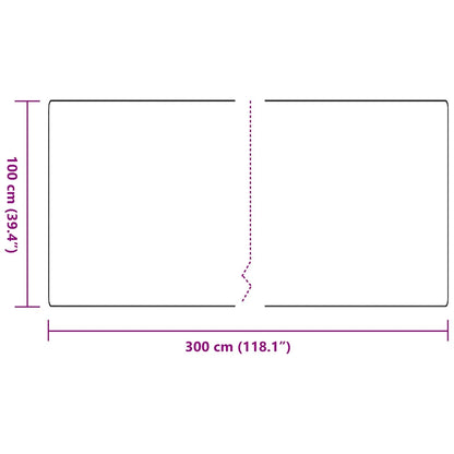 Tapijt Loper Donkergrijs 100 x 300 cm 100% Polypropyleen