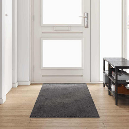 Tapijt Loper Grijs 80 x 300 cm 100% Polypropylene Tuft