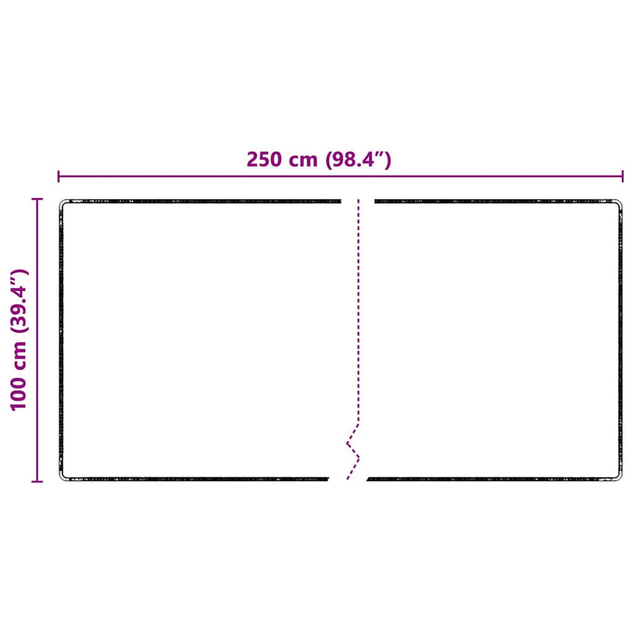 Tapijt Loper Zwart 100 x 250 cm 100% Polypropylene Tuft