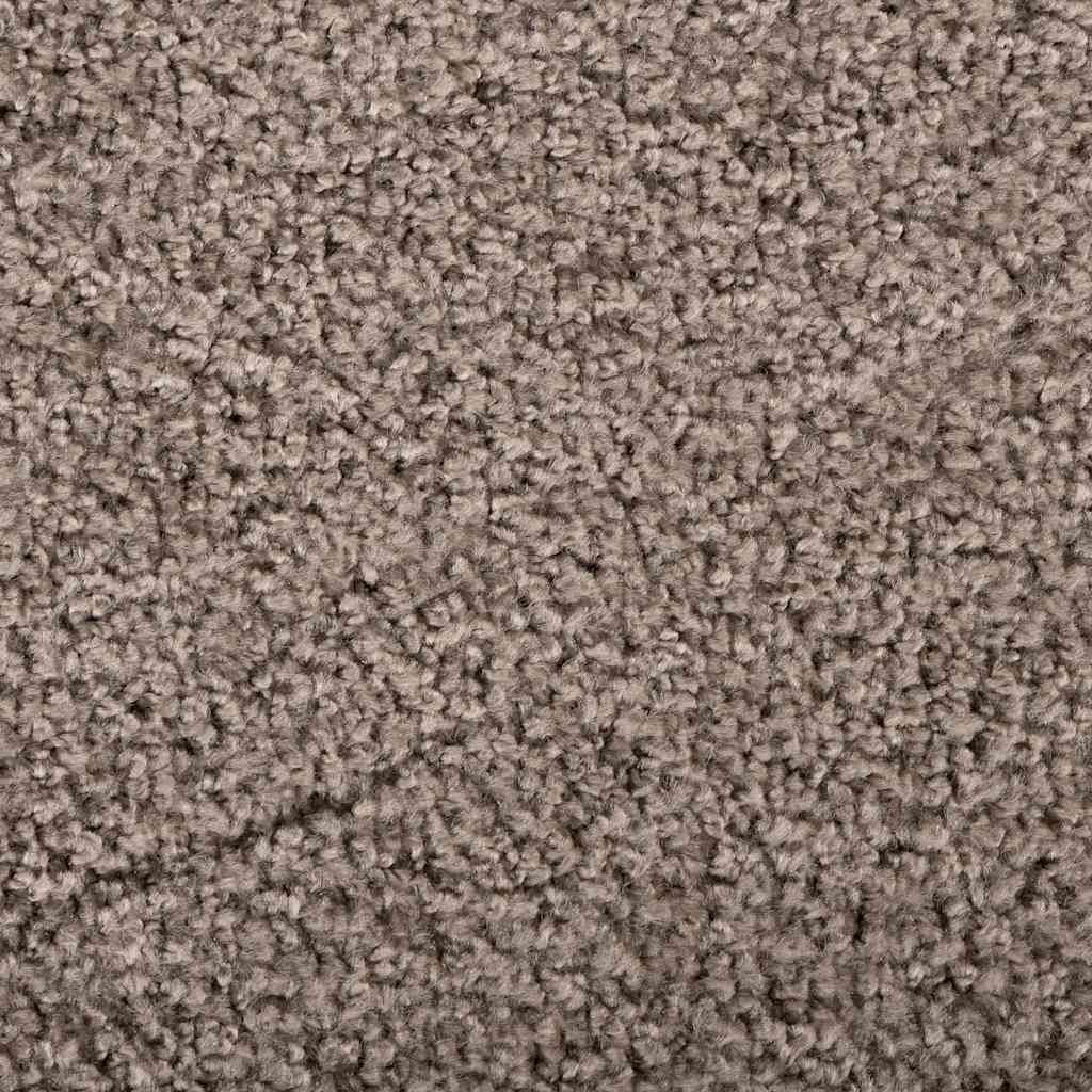 Deurmat Beige 60 x 80 cm Teddy Stof