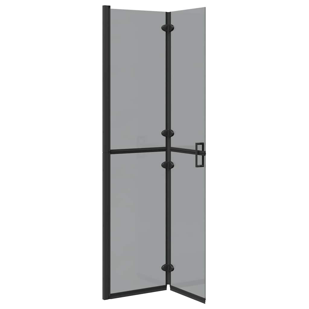 Inloop douche wand Zwart en donkertransparant 90 x 190 cm