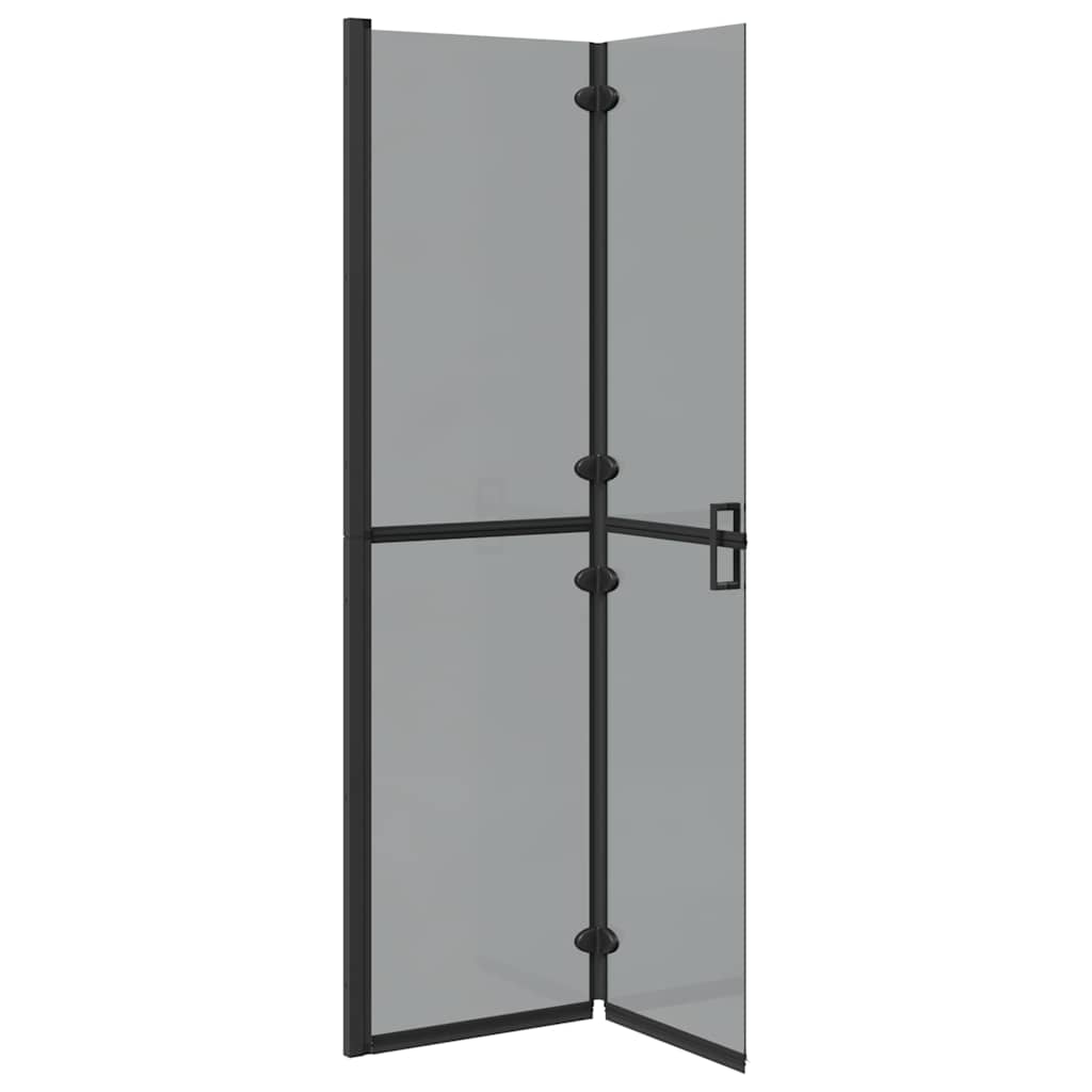 Inloop douche wand Zwart en donkertransparant 100 x 190 cm