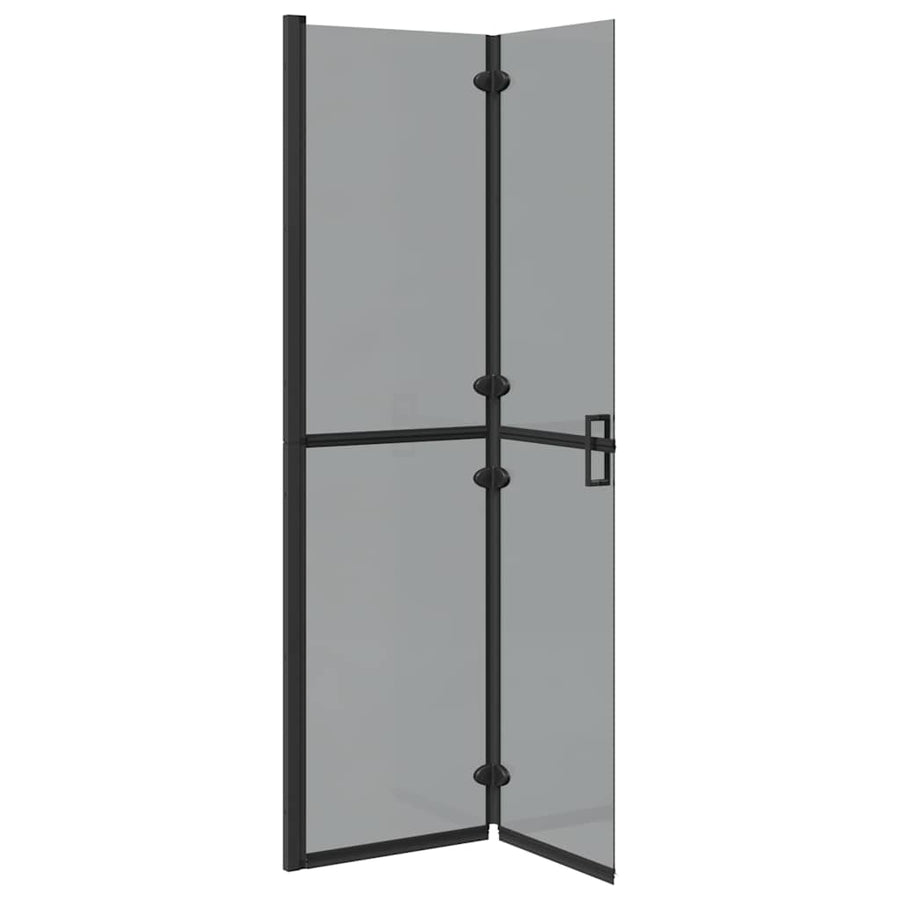 Inloop douche wand Zwart en donkertransparant 100 x 190 cm