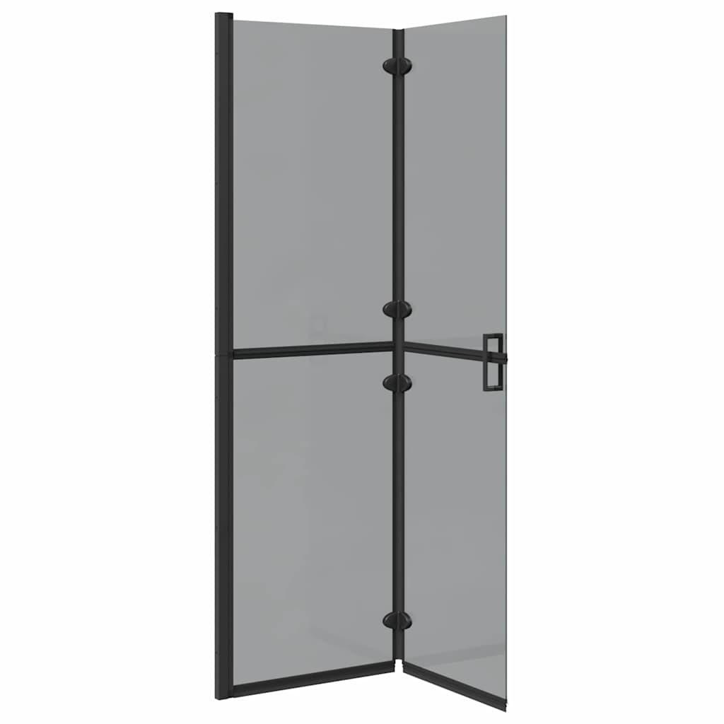 Inloop douche wand Zwart en donkertransparant 110 x 190 cm