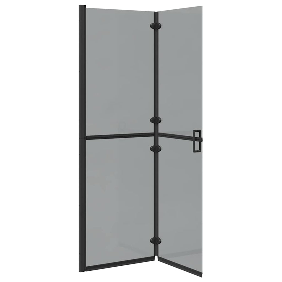 Inloop douche wand Zwart en donkertransparant 120 x 190 cm