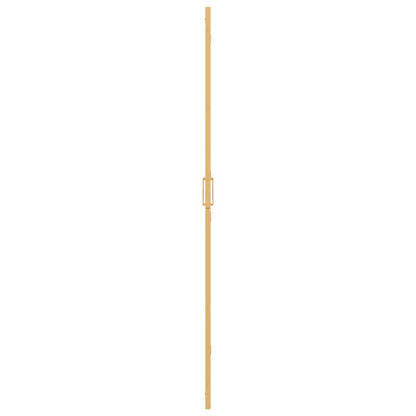 Inloop douche wand Goud en transparant 100 x 190 cm Gehard glas