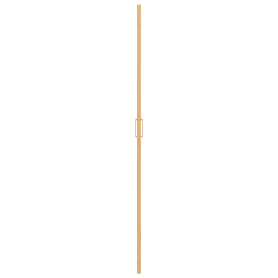 Inloop douche wand Goud en transparant 100 x 190 cm Gehard glas