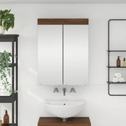 Badkamer spiegelkast bruin eiken 60x16,5x78 cm