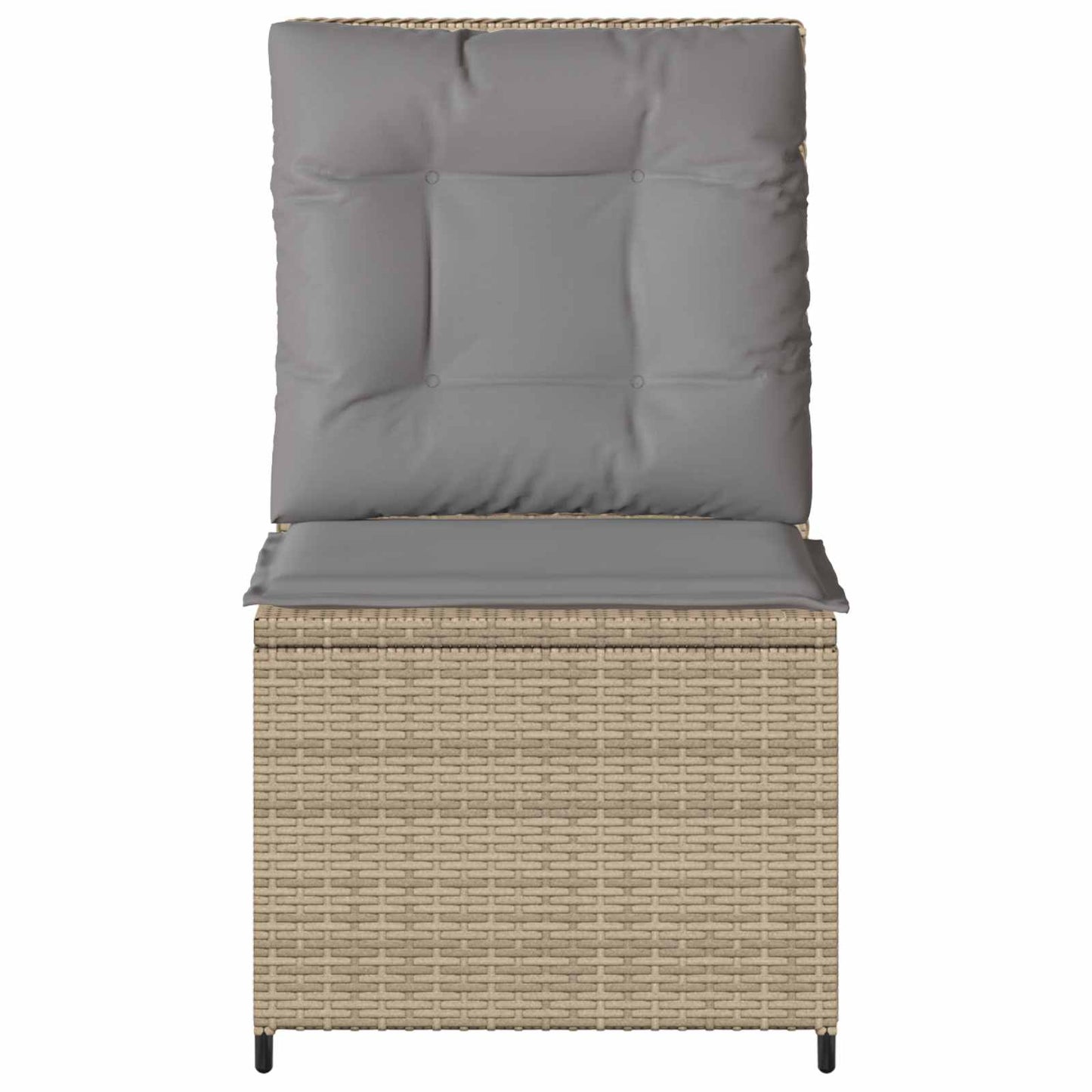 Tuinbank met kussen Beige en Grijs poly rattan