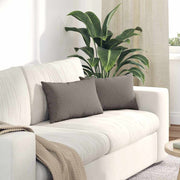 Bankkussens 2 stuks taupe 50x30 cm