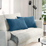 Sofa kussens 2 stuks blauw 60x40 cm corduroy