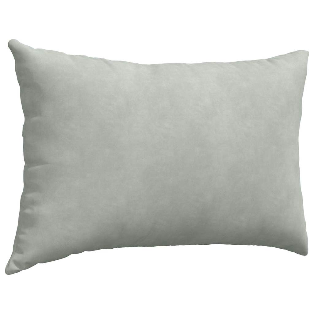 Sofa Kussens 2 pcs Lichtgrijs 60 x 40 cm Katoen Stof