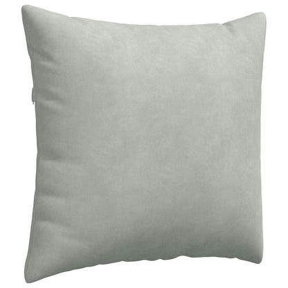 Sofa Kussens 2 pcs Lichtgrijs 50 x 50 cm Katoen Stof