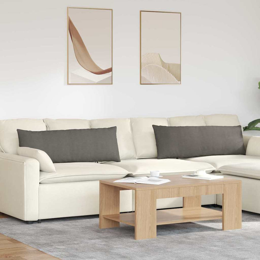 Sofa Kussens 2 pcs Lichtgrijs 120 x 40 cm Katoen Stof