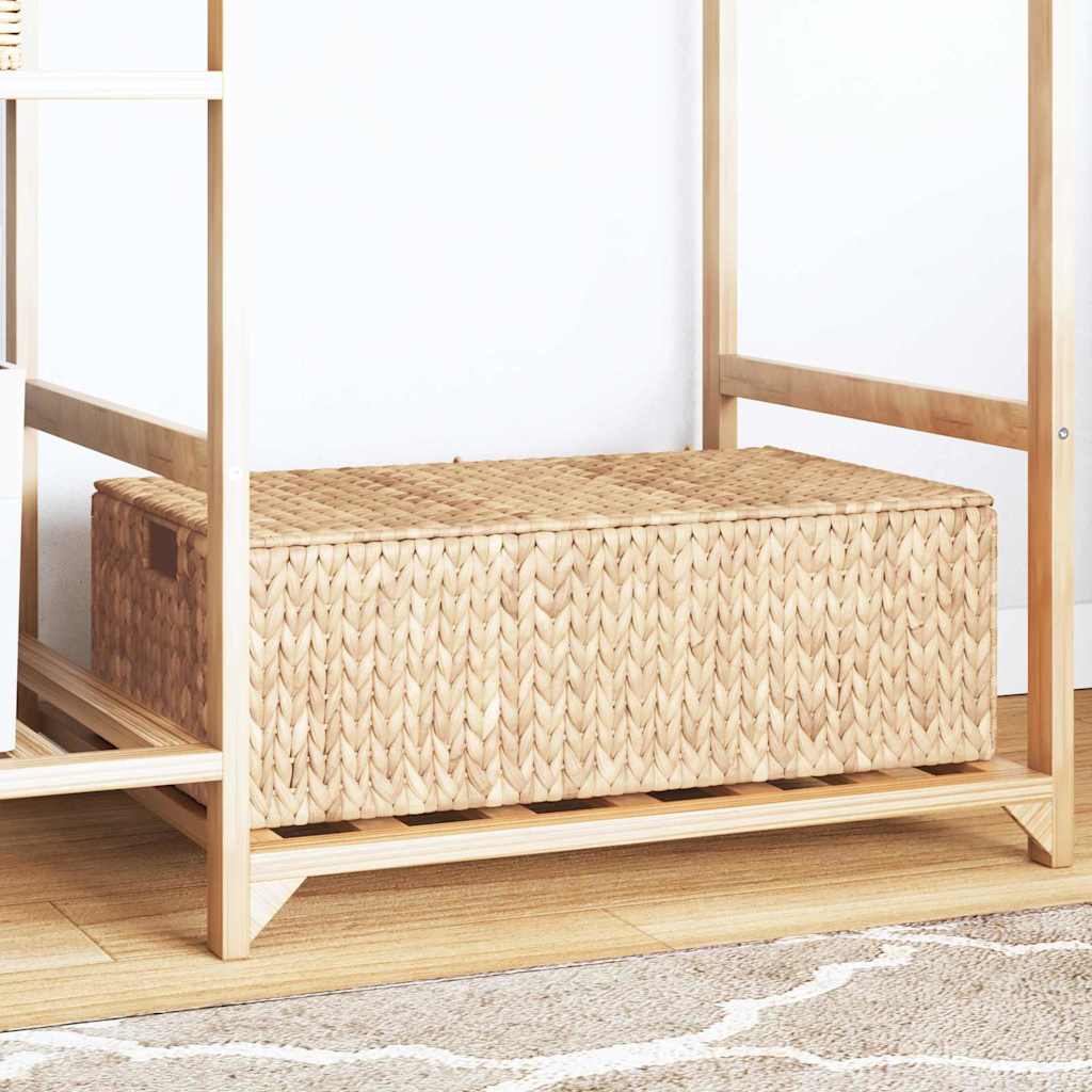 Opbergbox Naturel 60 x 38 x 20 cm Waterhyacint