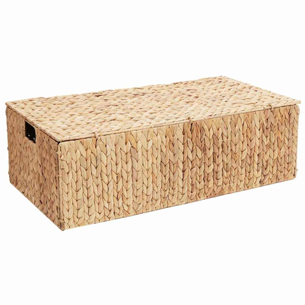 Opbergbox Naturel 60 x 38 x 20 cm Waterhyacint