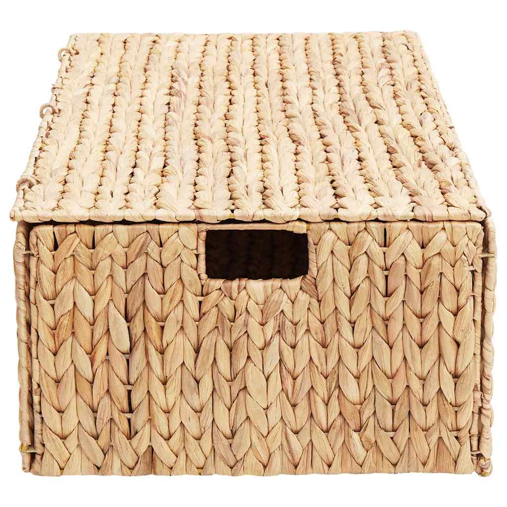 Opbergbox Naturel 60 x 38 x 20 cm Waterhyacint