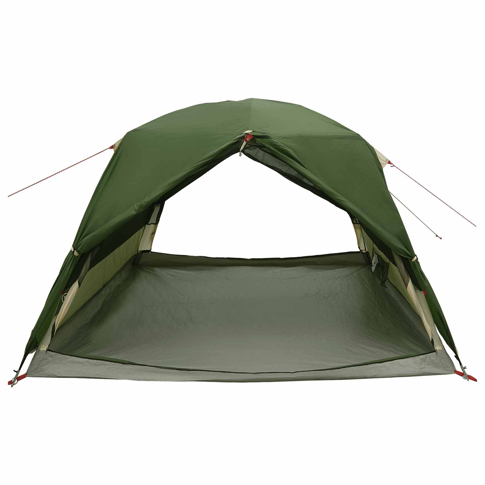 Backpacking Tent Groen 2-persoons 185T Polyester met PU Coating