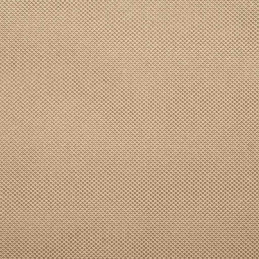 Vorstbescherming Plantvlies Beige 50 x 1,6 m Niet-geweven Stof