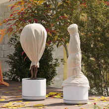 Vorstbescherming Plantvlies Beige 100 x 1,6 m Niet-geweven Stof