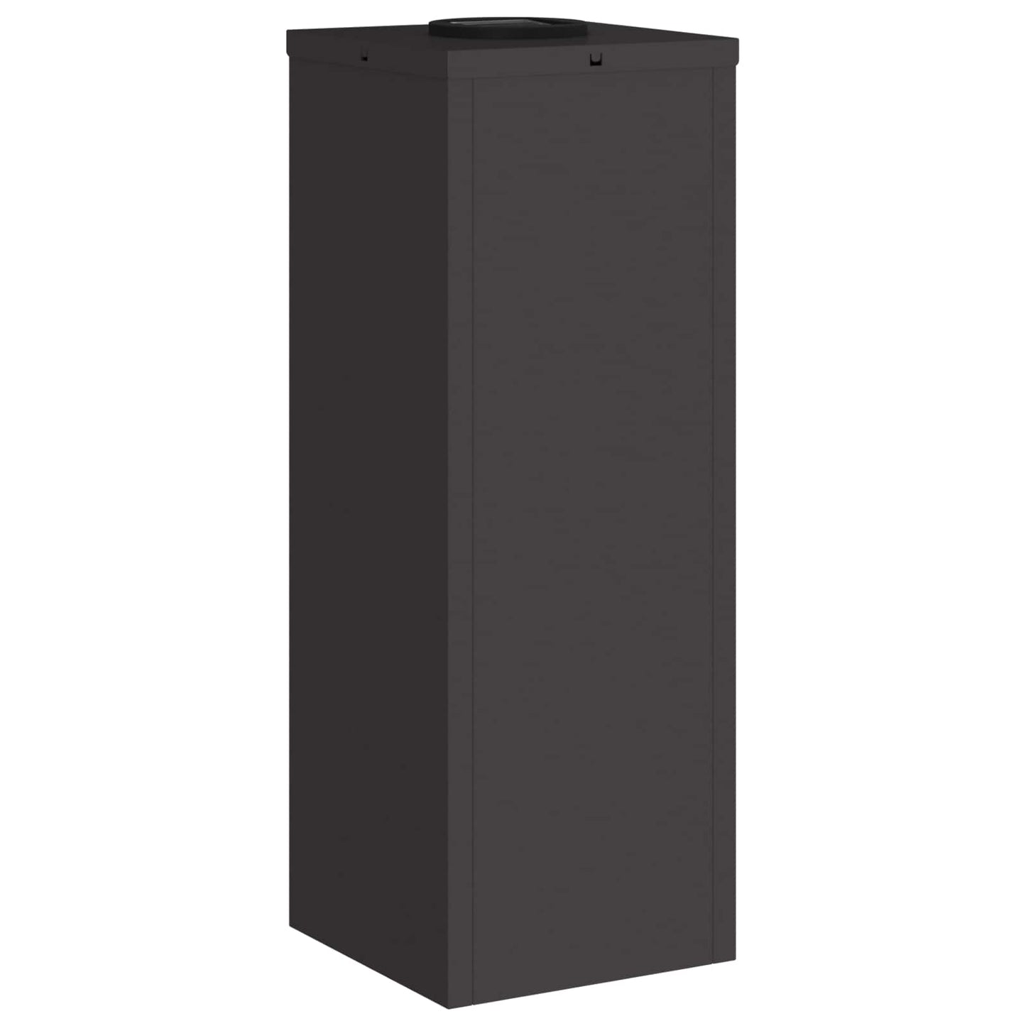 Zonne LED Padverlichting 2 pcs Zwart Koudgewalst staal