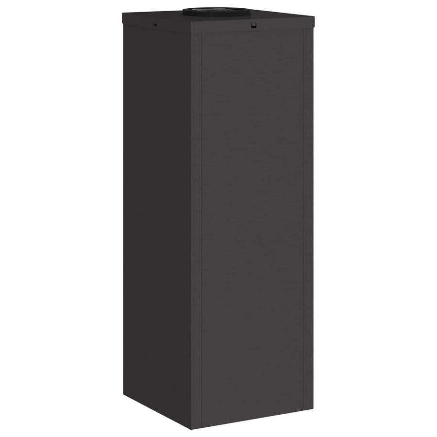 Zonne LED Padverlichting 2 pcs Zwart Koudgewalst staal