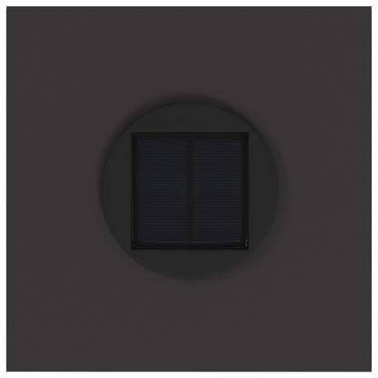 Zonne LED Padverlichting 2 pcs Zwart Koudgewalst staal