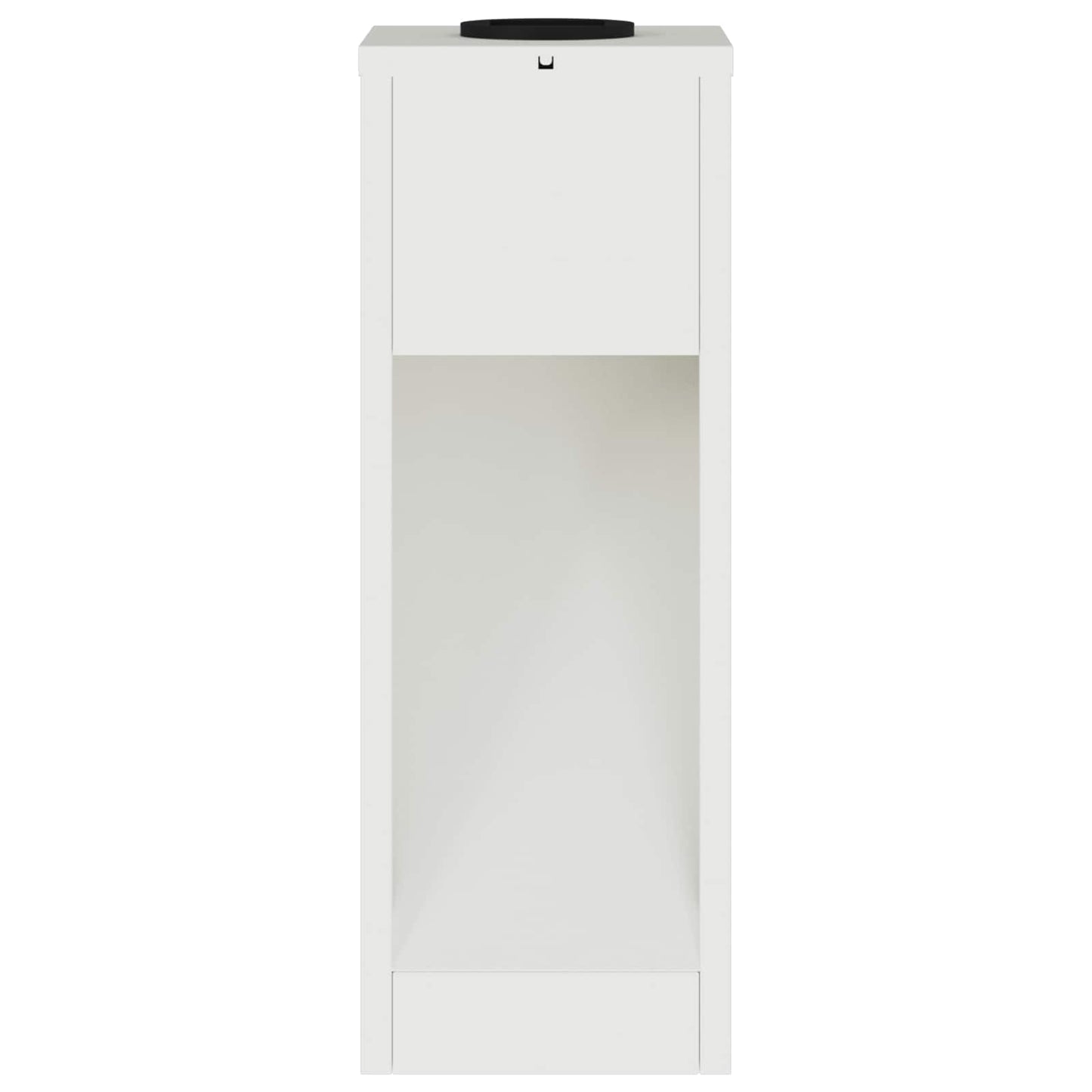Zonne LED Padverlichting 2 pcs Wit Koudgewalst staal