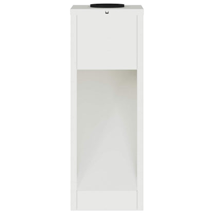 Zonne LED Padverlichting 2 pcs Wit Koudgewalst staal