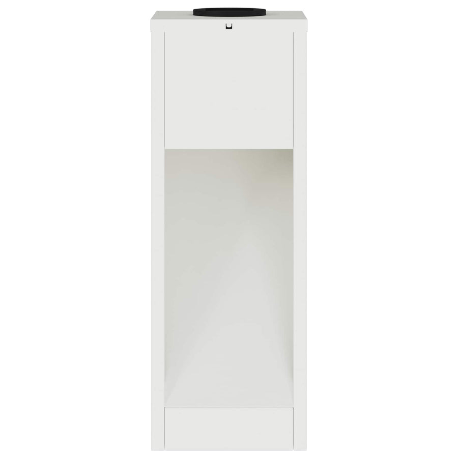 Zonne LED Padverlichting 2 pcs Wit Koudgewalst staal